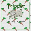 Tripper the Long Ear Rabbit - Judy Wilson, Elizabeth Russell, JEC Publishing Company