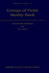 Groups of Finite Morley Rank - Alexandre V. Borovik