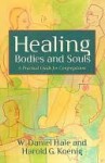 Healing Bodies and Souls: A Practical Guide for Congregations - W. Daniel Hale, Harold G. Koenig