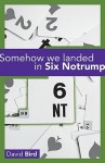 Somehow We Landed in Six Notrump - David Bird