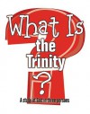 What Is the Trinity?: A Study of God in Three Persons - Marcia Stoner