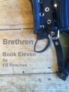 Brethren, Life In Bondage: Book Eleven - F.B. Peaches