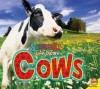 Cows - Aaron Carr