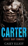 MC Biker Romance: BAD BOY ROMANCE: Carter (Secret Baby Biker Alpha Male Romance) (New Adult Contemporary Pregnancy Romance) - Casey Elliot