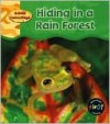 Hiding In A Rain Forest - Patricia Whitehouse