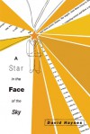 A Star in the Face of the Sky - David Haynes