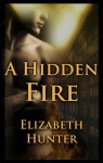 A Hidden Fire - Elizabeth Hunter