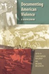 Documenting American Violence: A Sourcebook - Christopher Waldrep, Michael Bellesiles