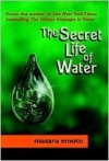 The Secret Life of Water - Masaru Emoto