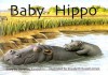 Baby Hippo - Beverly Randell, Elizabeth Russell-Arnot