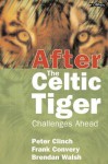 After the Celtic Tiger: Challenges Ahead - J. Peter Clinch, Frank J. Convery