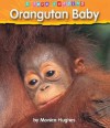 Orangutan Baby - Monica Hughes