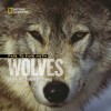 Face to Face With Wolves - Jim Brandenburg, Judy Brandenburg