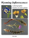 Wyoming Inflorescence: A Photographic Treatise on Select Plants - Dan Lewis