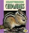 Chattering Chipmunks - Janet Piehl