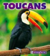 Toucans - Mary Ann McDonald