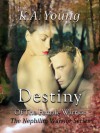 Destiny of the Female Warrior - K.A. Young