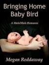 Bringing Home Baby Bird - Megan Reddaway