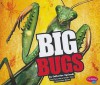 Big Bugs - Catherine Ipcizade