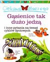 Ciekawe dlaczego gąsienice tak dużo jedzą - Belinda Weber