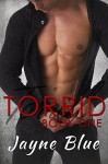 Torrid: An Erotic Suspense Novel (Torrid Trilogy Book 1) - Jayne Blue