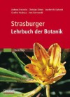 Strasburger - Lehrbuch Der Botanik - Andreas Bresinsky, Joachim W. Kadereit, Christian Karner