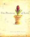 The Promise of Love - Rachel Quillin