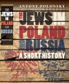 The Jews in Poland and Russia: A Short History - Antony Polonsky