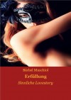 Dunkle Sehnsüchte: Erotische Lovestory (German Edition) - Bärbel Muschiol