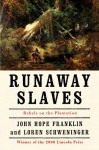 Runaway Slaves: Rebels on the Plantation - John Hope Franklin, Loren Schweninger