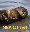 Eye on the Wild: Sea Otter - Suzi Eszterhas