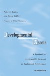 Developmental Assets: A Synthesis of the Scientific Research on Adolescent Development - Peter C. Scales, Nancy Leffert, Richard M. Lerner