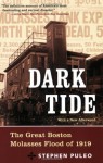 Dark Tide: The Great Boston Molasses Flood of 1919 1st (first) Edition by Puleo, Stephen published by Beacon Press (2004) - aa