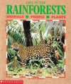 Life in the Rain Forests - Lucy Baker