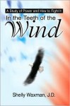 In the Teeth of the Wind: A Study of Power and How to Fight It - Shelly Waxman