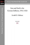 Iron and Steel in the German Inflation, 1916-1923 - Gerald D. Feldman