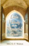 Little Nobody and the Wonderful Door - Amy Catherine Walton
