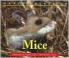 Mice - Elaine Pascoe, Dwight Kuhn