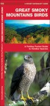 Great Smoky Mountains Birds: A Folding Pocket Guide to Familiar Species - James Kavanagh, Raymond Leung