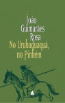 No Urubuquaquá, no Pinhém - João Guimarães Rosa