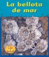 La Bellota de Mar / Barnacles - Lola M. Schaefer