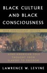 Black Culture and Black Consciousness: Afro-American Folk Thought from Slavery to Freedom - Lawrence W. Levine