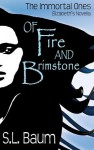 Of Fire and Brimstone: Elizabeth's Novella - S.L. Baum