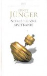 Niebezpieczne spotkanie - Ernst Jünger