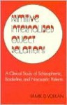 Primitive Internalized Object Relations: A Clinical Study of Schizophrenic, Borderline, & Narcissistic Patients - Vamık D. Volkan