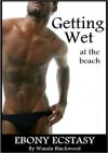 Getting Wet at the Beach (Ebony Ecstasy) - Wanda Blackwood