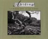 Abiding: Landscape of the Soul - David Lubbers, Stephen C. Rowe