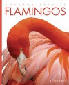 Amazing Animals: Flamingos - Kate Riggs