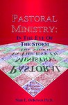 Pastoral Ministry: In the Eye of the Storm - Stan E. Dekoven