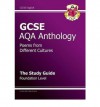 Poems from Different Cultures: Anthology: AQA: The Study Guide: Foundation Level - Richard Parsons